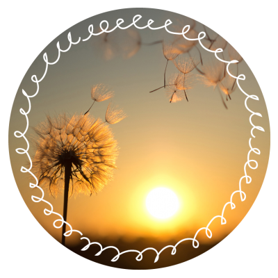 Pusteblume © AdobeStock